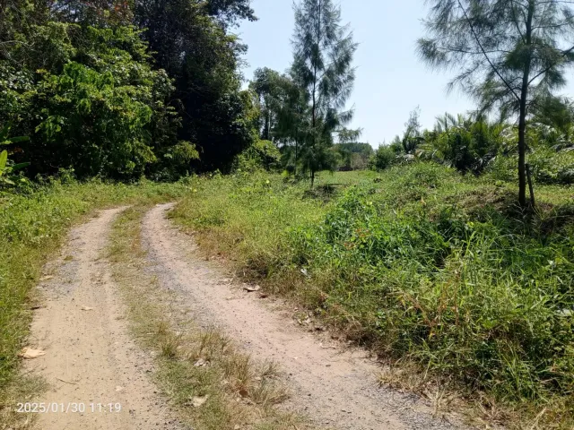 Land in Phuket — photo 3
