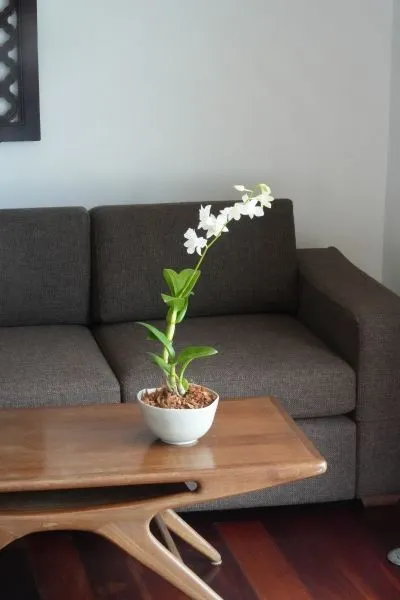 Apartment, 900 m² in Phuket — photo 51