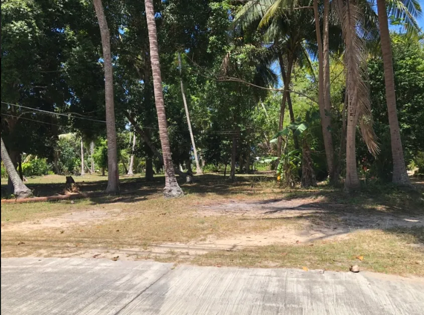 Commercial property, 1600 m² in Pattaya — photo 4