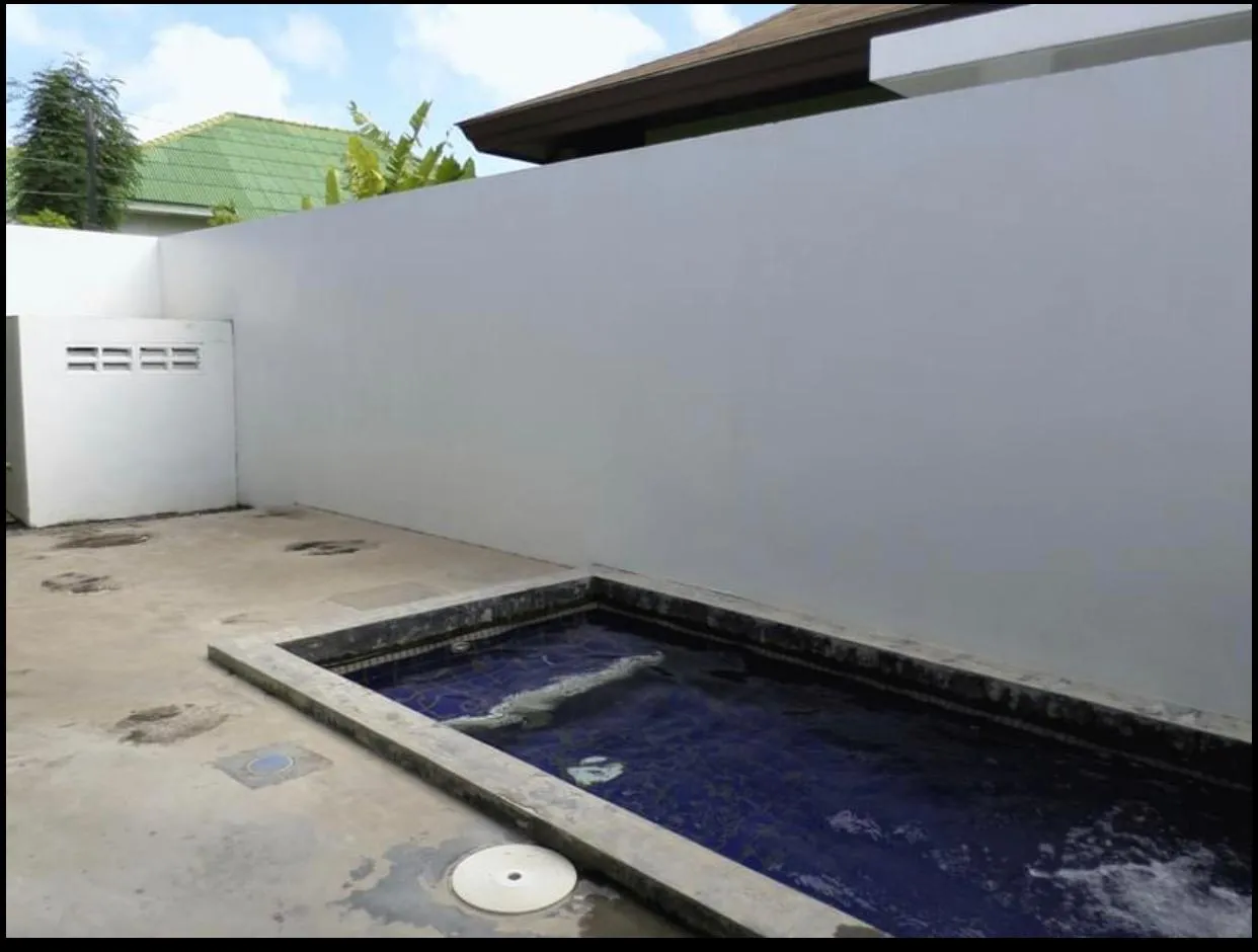 Apartment, 60 m² in Phuket — photo 4