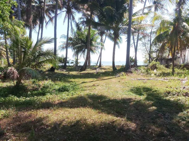 Land in Phuket — photo 4