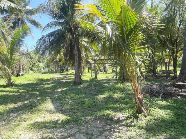 Land in Phuket — photo 11