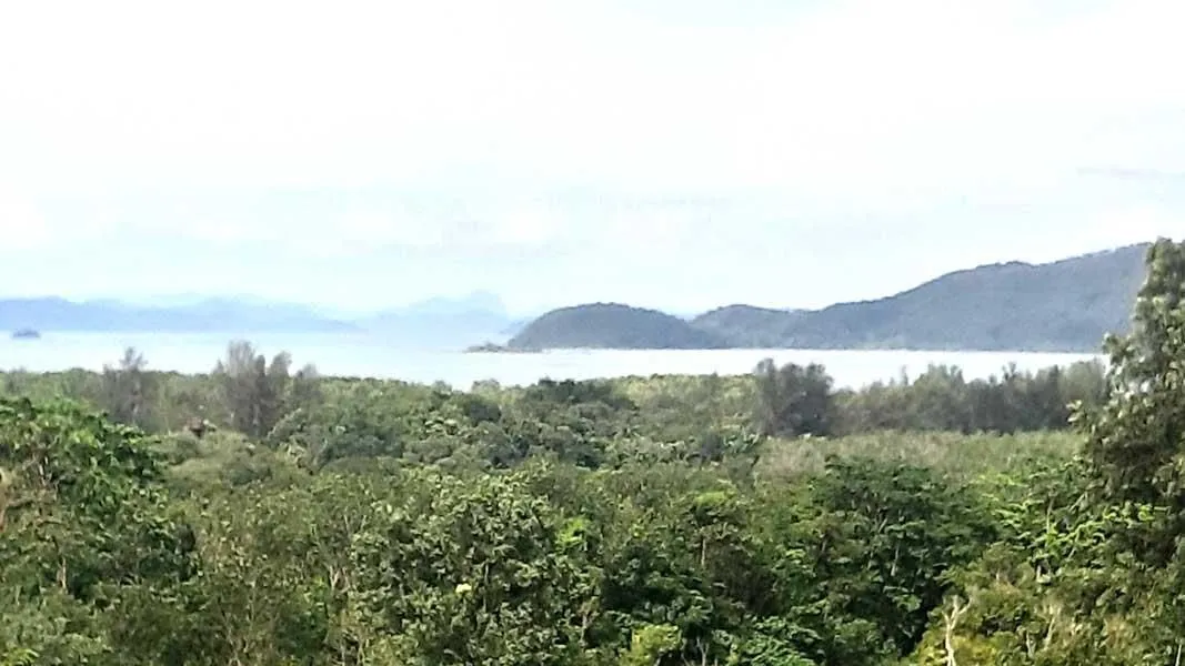 Land in Phuket — photo 10