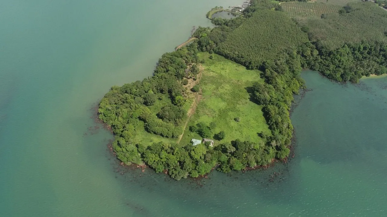 Commercial property, 59200 m² in Pattaya — photo 5