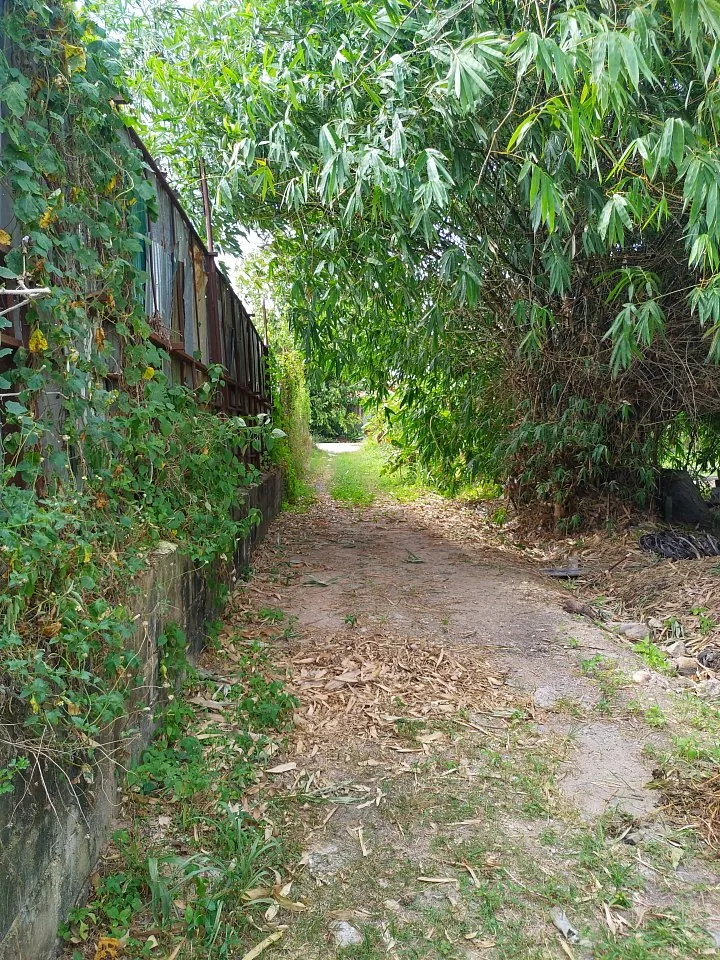 Commercial property, 6400 m² in Pattaya — photo 2