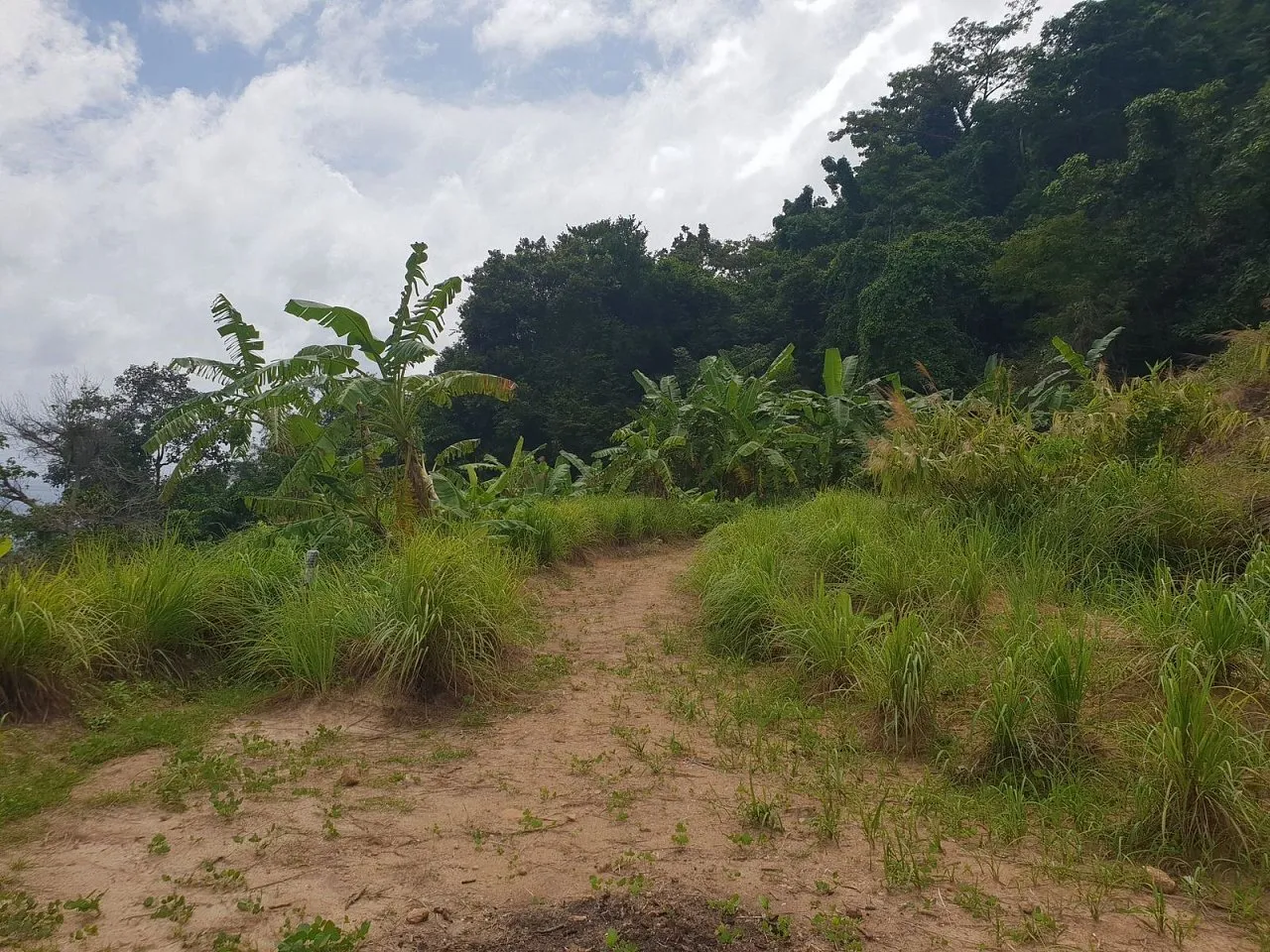 Commercial property, 6900 m² in Phuket — photo 6