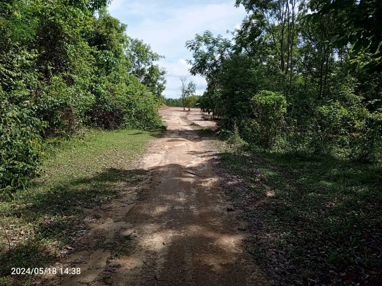 Land in Phuket — photo 14