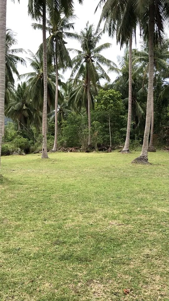 Commercial property, 309 m² in Pattaya — photo 6