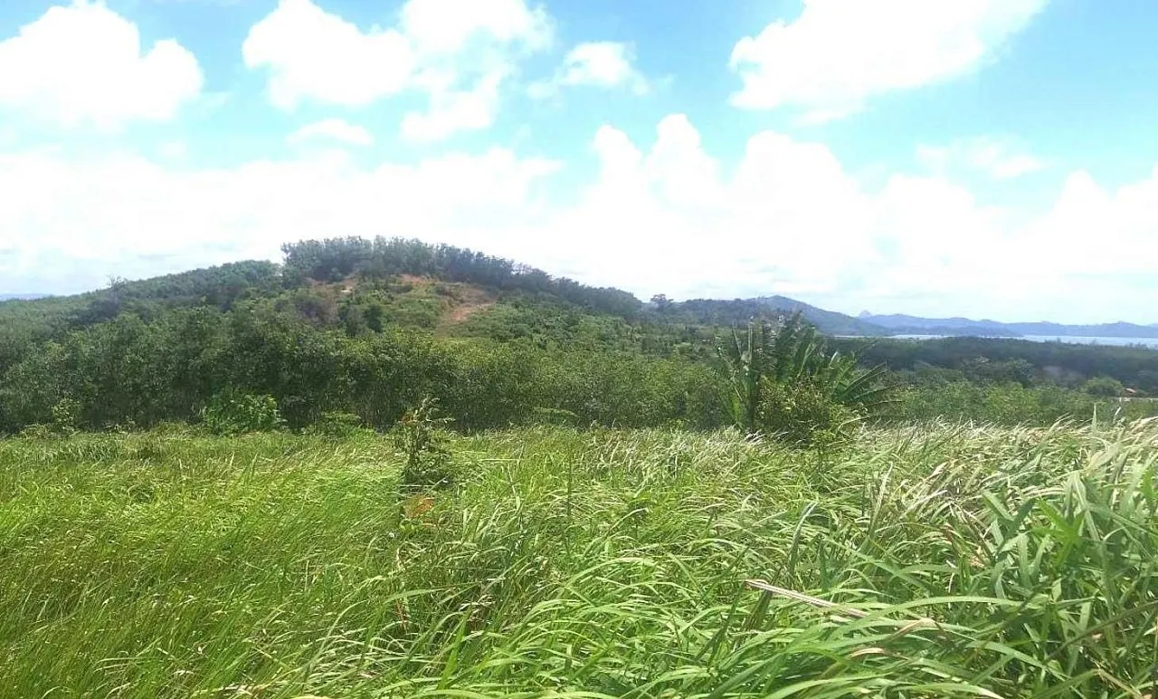 Land in Phuket — photo 12