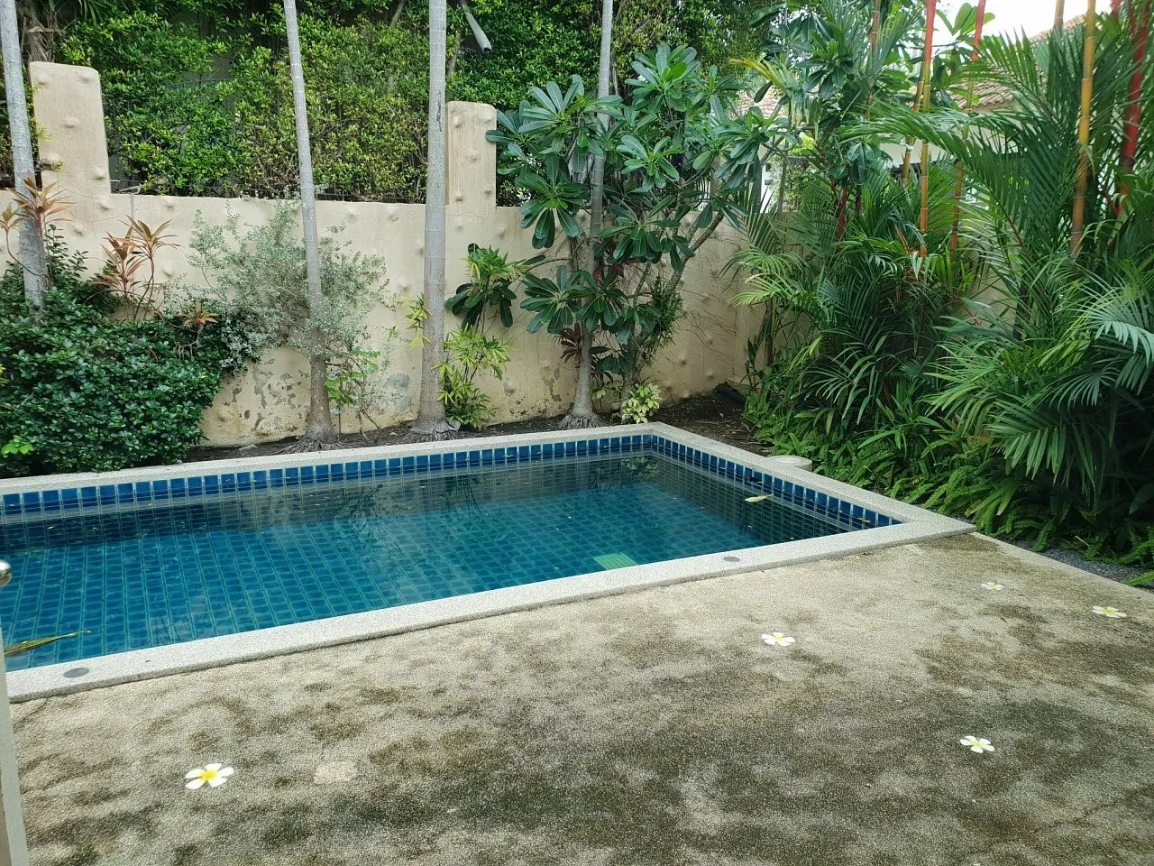 House or villa, 300 m² in Phuket — photo 13