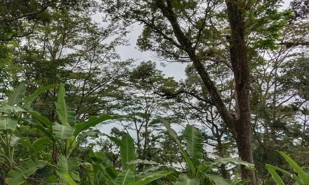 Land in Phuket — photo 8