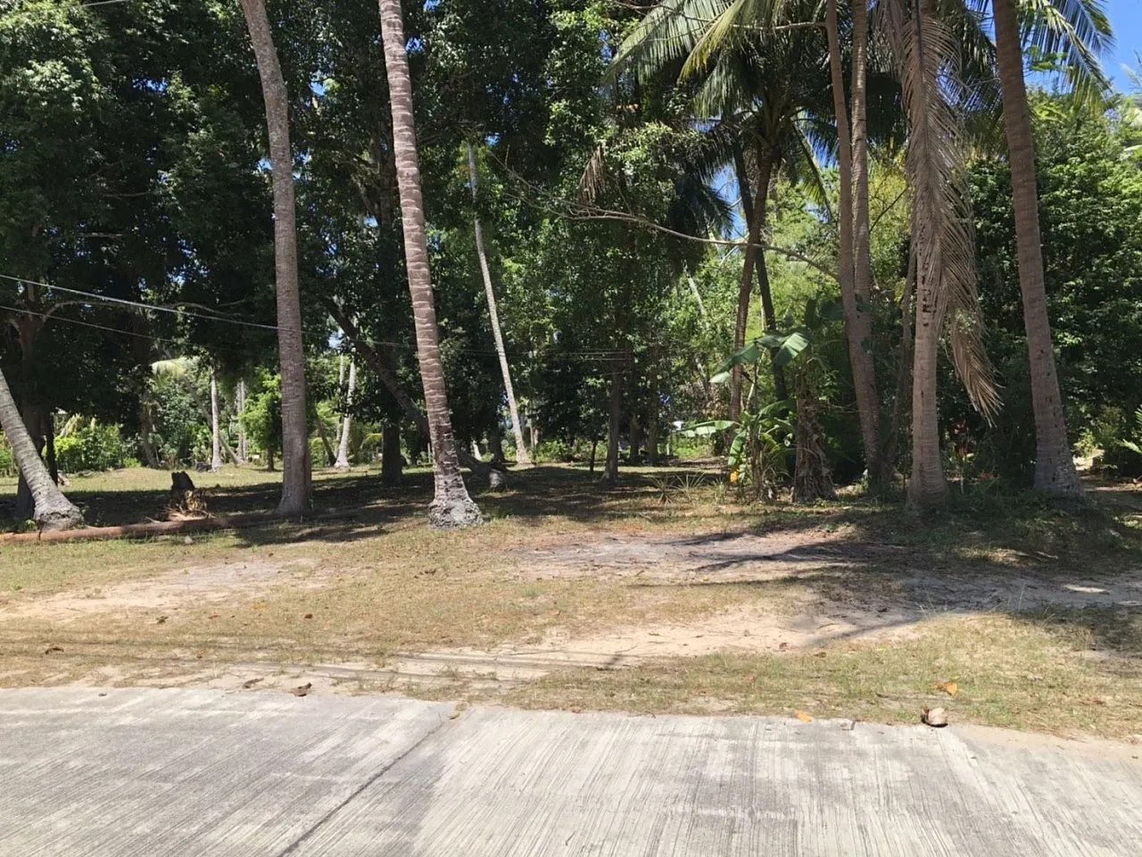 Commercial property, 1600 m² in Pattaya — photo 3
