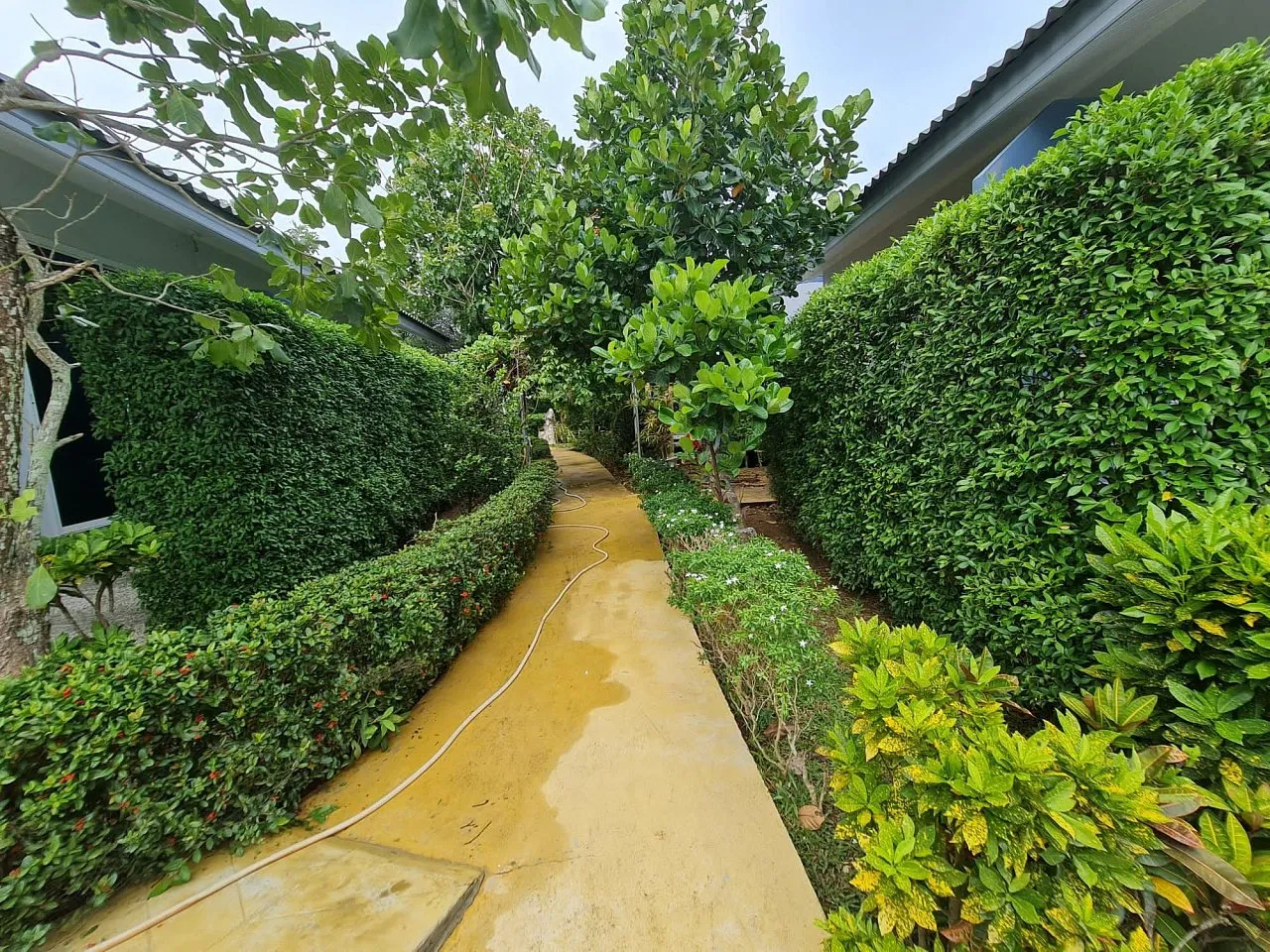 House or villa, 2000 m² in Phuket — photo 2