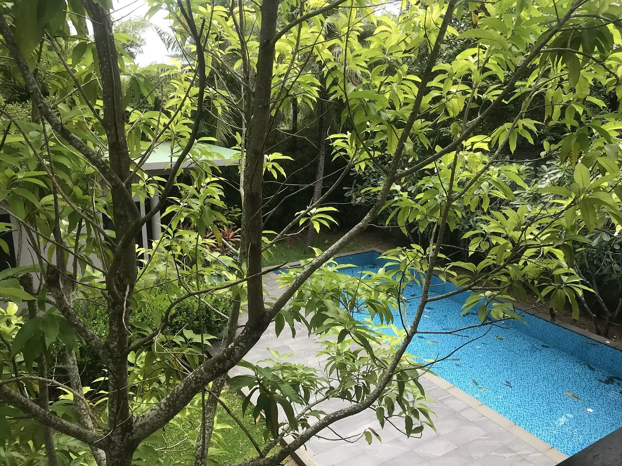 Apartment in Phuket — photo 6