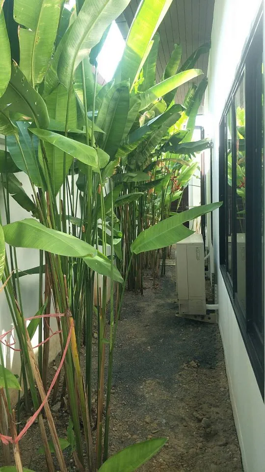 House or villa, 319 m² in Phuket — photo 13