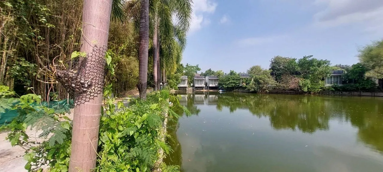 Commercial property, 5968 m² in Pattaya — photo 26