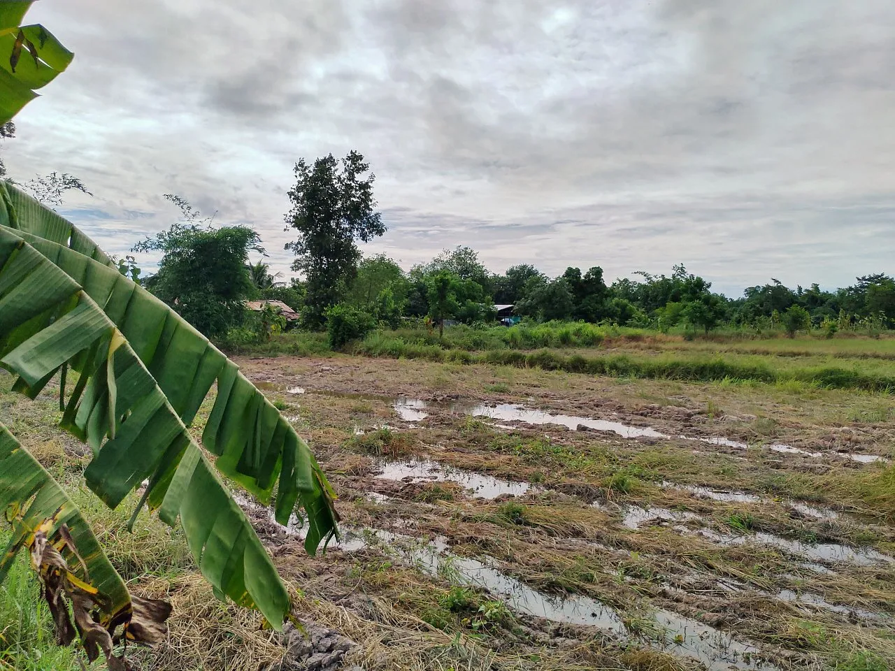 Commercial property, 6400 m² in Pattaya — photo 1