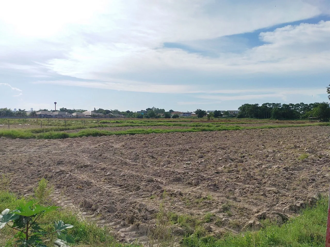 Commercial property, 12800 m² in Pattaya — photo 4
