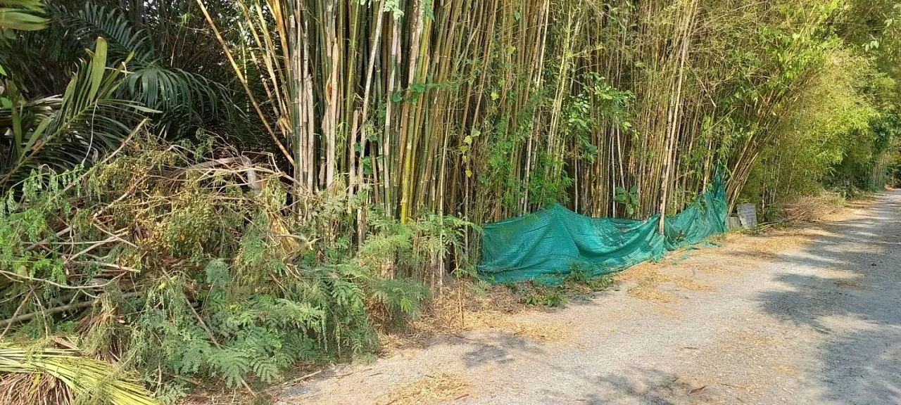 Commercial property, 5968 m² in Pattaya — photo 27